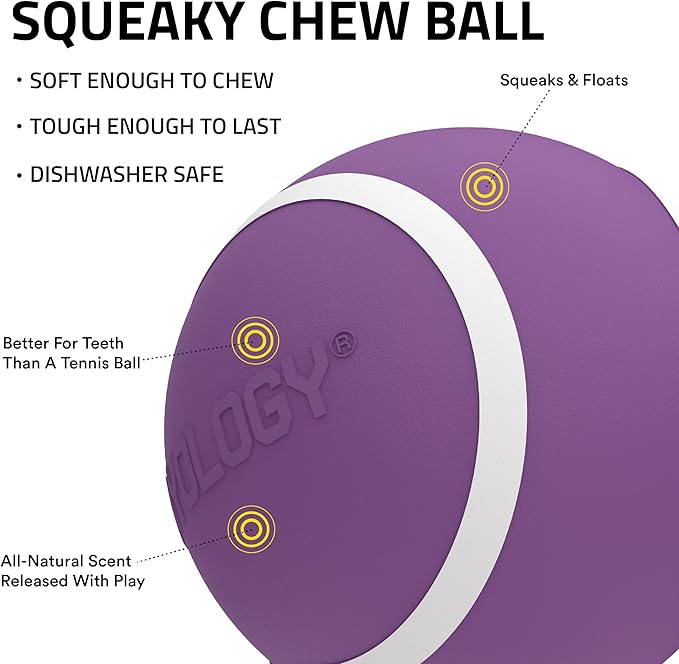 Playology Dog Toys | Squeaky Chew Ball - Bouncy Durable Floating Fetch Ball for Dogs, Value 3-Pack | Small Bacon Scented Toy - Easy to Clean and Made from Non Toxic Materials