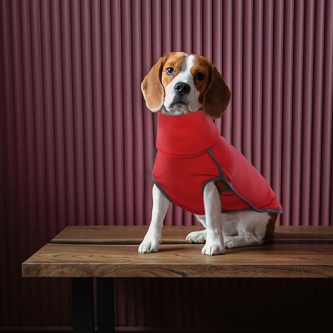 ROZKITCH Dog Winter Coat Soft Pullover Pajamas, Pet Windproof Warm Cold Weather Jacket Vest Cozy Jumpsuit Apparel Outfit Clothes for for Chritmas Walking Sleep BrightRed XS