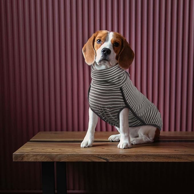 ROZKITCH Dog Winter Coat Soft Pullover Pajamas, Stripe Pet Windproof Warm Cold Weather Jacket Vest Cozy Jumpsuit Apparel Outfit Clothes for Walking Hiking Travel Sleep Stripe 2XS
