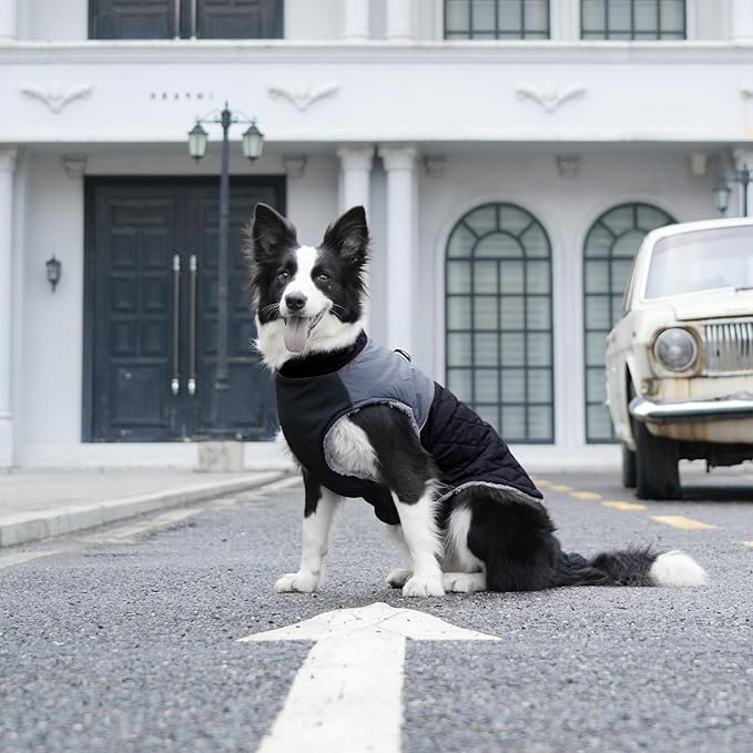 Warm Fleece Dog Coats for Small Dogs,D-Rings Waterproof Puppy Jacket for Cold Winter,Black XS