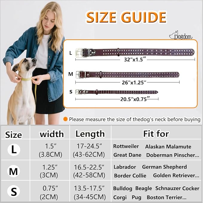 Studded Leather Dog Collar – Durable Adjustable Collar, Brown Small