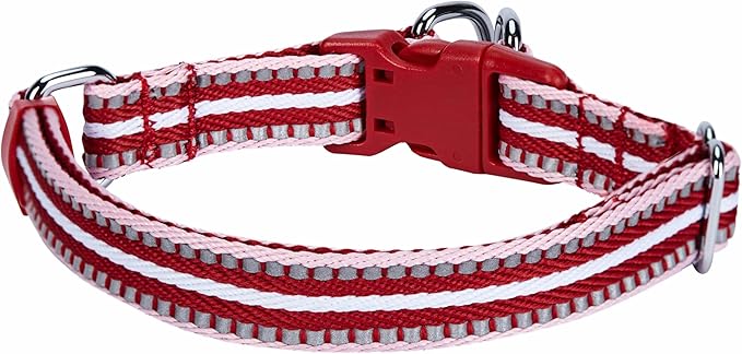 Blueberry Pet Safety Dog Collar with Dual D-Rings | 3M Reflective Multi-Colored Adjustable Collar in Marsala Red and Pink | Soft Nylon Dog Collar for Active Small Dogs
