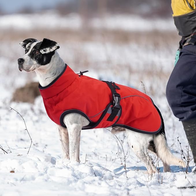 Warm Dog Coat for Winter,Waterproof Jacket with Zipper,Detachable Dog Coat with Adjustable Buckle,Comfortable Jacket for Dogs in Cold and Windy Days.3XL Red