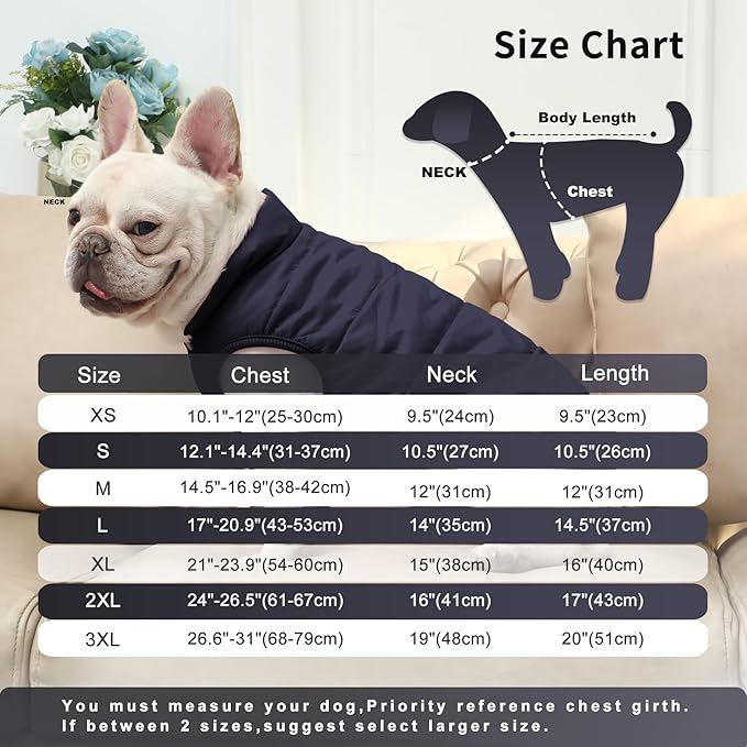 2 Layers Fleece Lined Warm Dog Jacket for Puppy Winter Cold Weather,Soft Windproof Small Dog Coat,Blue XS