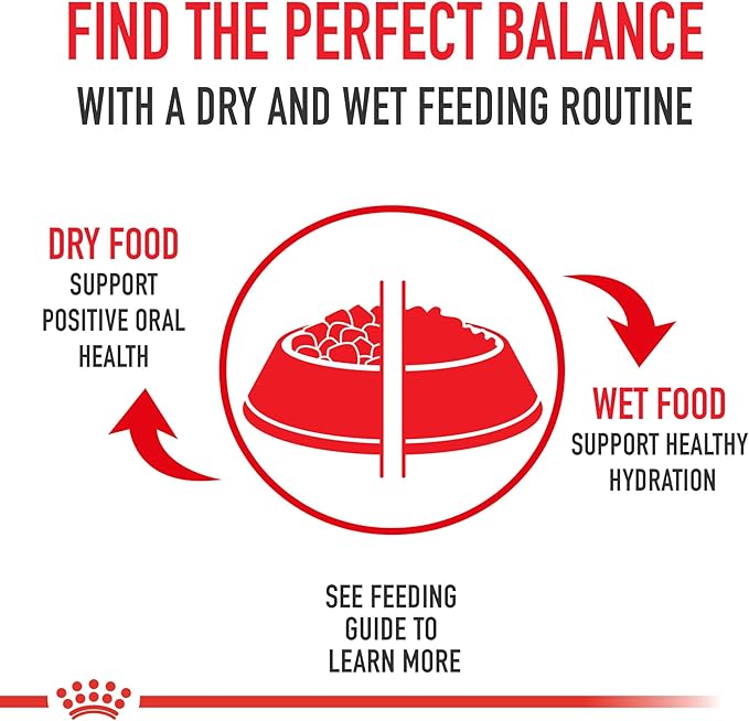 Royal Canin Canine Care Nutrition Large Weight Care Adult Dry Dog Food, 30 lb Bag
