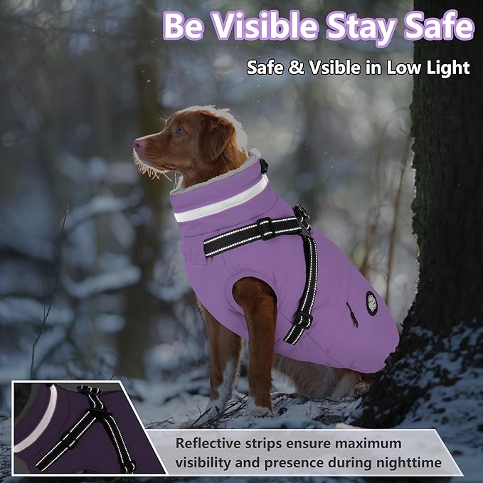 Dogcheer Dog Coat with Harness, Waterproof Dog Jacket, Reflective Puppy Winter Jacket with Pocket, Doggy Turtleneck Fleece Vest for Small Medium Large Dogs - Taro Purple, M