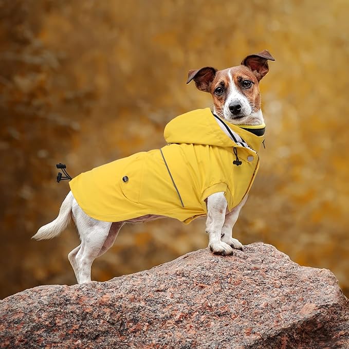 Dog Raincoat Waterproof Raincoats Dog rain Jacket Buttons Zipper Hood Drawstring Suitable for Small Medium Yorkie Terrier Schnauzer Poodle Border Collie Labrador 8lbs to 80lbs Yellow XS