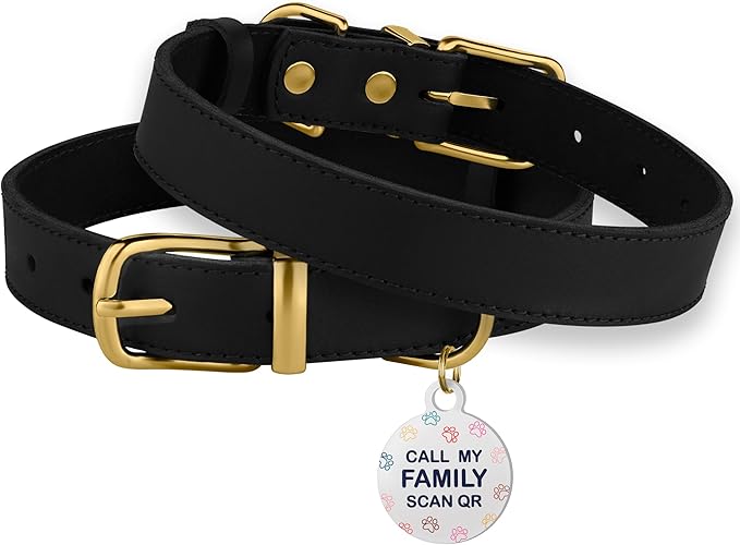 BRONZEDOG Leather Dog Collar with Metal Buckle Durable Basic Pet Collars for Small Medium Large Dogs (19-21 Inch (Pack of 1), Black & Gold Buckle)