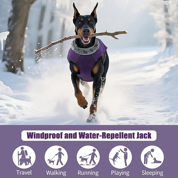 DENTRUN Medium Dog Winter Jacket - Warm Reflective Windproof Coat, Adjustable Neck & Snap Closure, Water Repellent Thick Fleece Vest, Fleece Lined for Beagle Pug, Purple, M