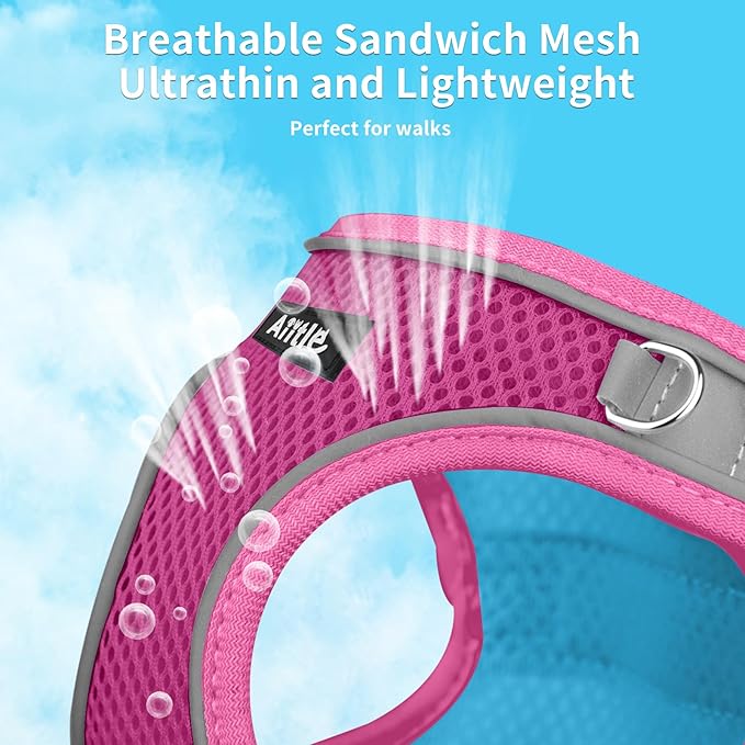 AIITLE Small Harness for Puppy with A Leash - Summer Dog Vest Harness with Super Breathable Mesh, Reflective No-Pull Pet Harness for Outdoor Walking, Camping for Small Dogs, Cats Hot Pink XXS
