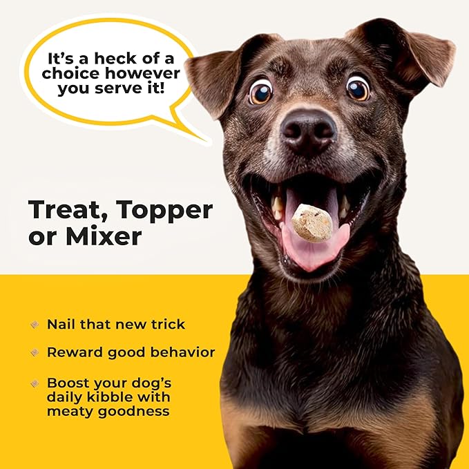 Chop Lickin’ Chicken - Freeze Dried Raw Dog Treats, Real Cuts of Chicken for Training, Meal Topper, High Protein, 15g Per Cup, Made in The USA, 4oz Bag