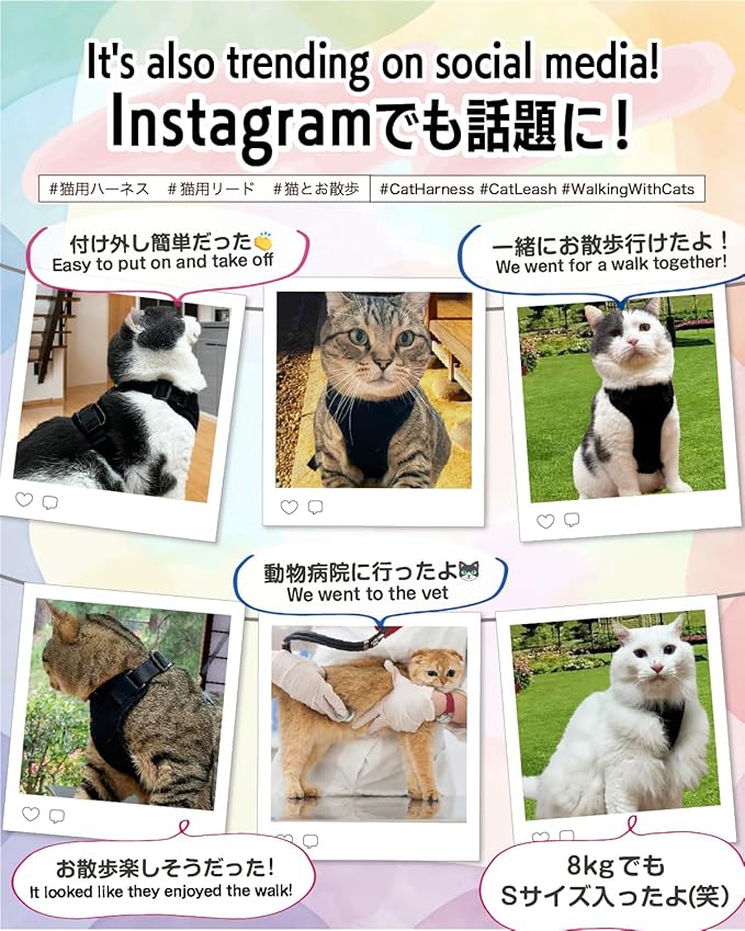 Cat Harness Escape Proof with Leash for Walking, Travel Vest Soft Chest Support, Adjustable Size, Escape Proof Soft Adjustable Vest Harnesses, Breathable, Kittens, Small Dogs (美/背縄/藍2/XS)