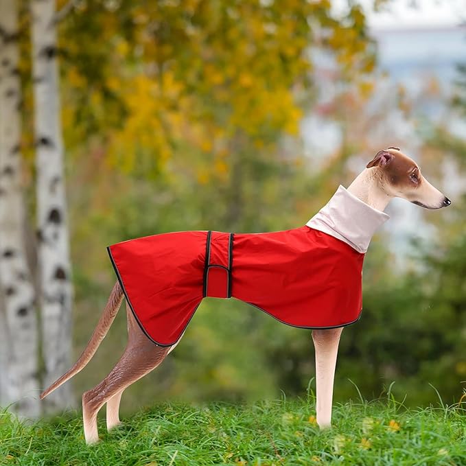 Dog Raincoat with Reflective Bar, Rain/Water Resistant, Adjustable Vest - Dog Raincoats for Greyhounds, Lurchers and Whippets - Red - L
