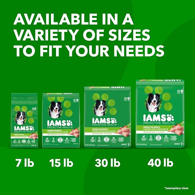 IAMS Proactive Health Minichunks Adult Dry Dog Food with Real Chicken, 15 lb. Bag