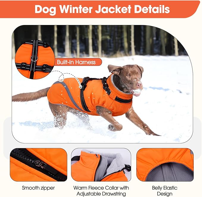 BRKURLEG Dog Winter Jackets for Large Dogs, Dog Coat with Harness Built in, Dogs Snowsuits with Zipper, Waterproof Windproof Pet Puffer Jacket Fleece Vest for Labrador, Dalmatian, Orange XXL