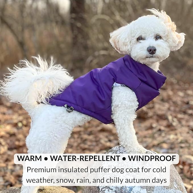 DJANGO Reversible Puffer Dog Coat – Warm Winter Dog Jacket & Water-Repellent Insulated Dog Coat w/Harness Hole, Windproof, Adjustable Fit for Small & Medium Dogs, Dachshunds – Violet Purple, Medium