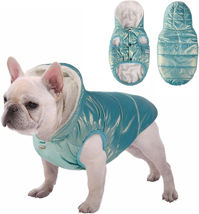 Fleece Hoodie, Windproof Waterproof Dog Coat, Winter Warm Jacket, Cold Weather Pet Apparel Clothes Vest for Small Medium Large Dogs (XL, Mintgreen)