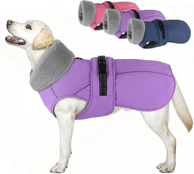 PETDSH Dog Coat Large, Windproof Dog Jacket with Warm Fleece Lining, Thickened Collar Dogs Winter Coat, Adjustable Reflective Pet Coats for Cold Weather (Purple, XX-Large)