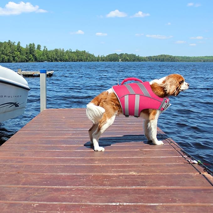 Kuoser Small Dog Life Jacket with Reflective Stripes, Adjustable High Visibility Dog Life Vest for Swimming & Boating, Pink XS