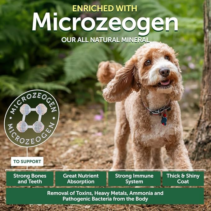 Nature's Protection Grain Free Dry Puppy Food for Small Breed - High Protein & Tear Stain Formula - Small Dog Food Kibble for Red Fur Puppies (Superior Care - Salmon, 3.3 lb)
