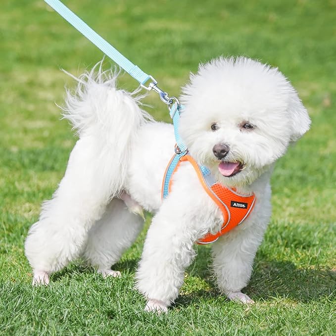 AIITLE Escape Proof Dog Harness - Step in Adjustable Dog Harness No Choke Over with Breathable Mesh and Quick-Release Buckle for Summer- Outdoor Walking, Camping, Training for Medium Dogs Orange XL