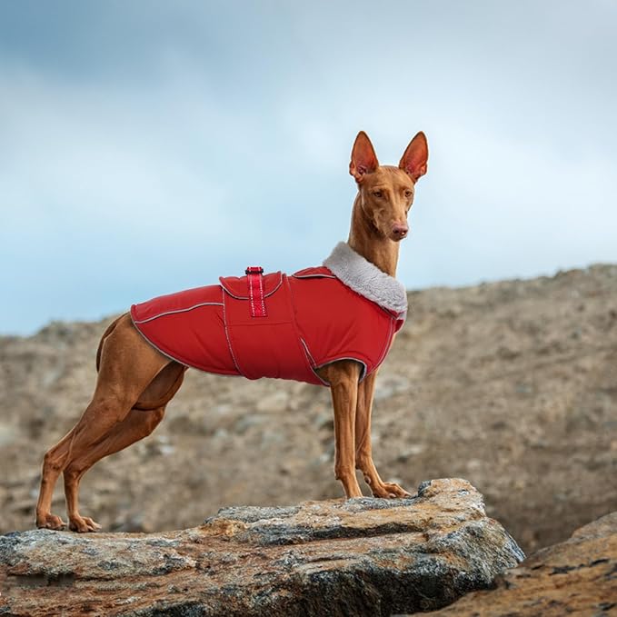 Lelepet Warm Dog Coat - Reflective Waterproof Fleece Vest with Adjustable Buckle Hook & Loop, Windproof Winter Jacket Dog Coats for Small Medium Large Dogs, Red, L