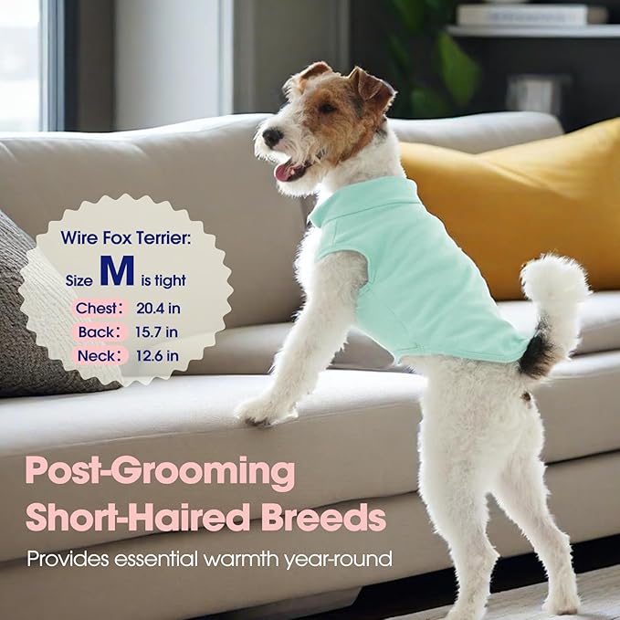 FUAMEY Dog Fleece Vest for Small Dogs,Warm Stretchy Dog Sweatshirts Pullover with Leash Hole Dogs Sweater Soft Pet Turtleneck Cozy Pet Vest Lightweight Sleeveless Blue XS