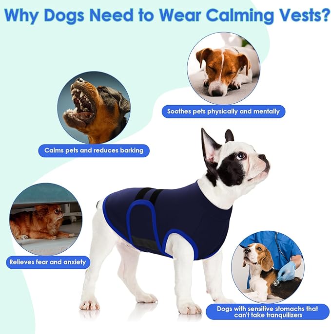 MIGOHI Dog Anxiety Relief Coat,Comfort Anxiety Vest for Dogs,Adjustable Anxiety Calming Wrap for Fireworks,Thunderstorms,Travel, Separation, Dog Anxiety Jacket for Small Dogs,M,NavyBlue