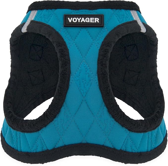 Best Pet Supplies - All Weather Mesh / Plush, Reflective, No Pull Harness for Small, Medium Dogs, Cats - Secure with Hook & Loop Fastener, Buckle, Double D-Rings - Turquoise Plush, M