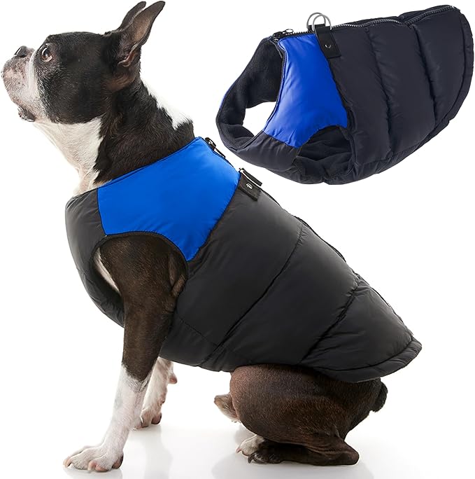 Gooby Padded Vest Dog Jacket - Blue, X-Large - Warm Zip Up Vest Fleece Jacket with Dual D Ring Leash Water Resistant for Small to Medium Dogs