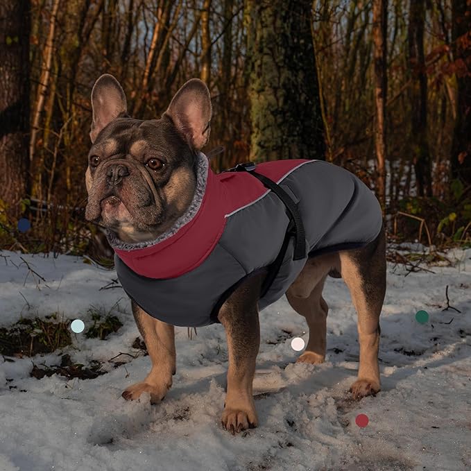 IECOii Dog Coat for Extra Large Dogs - Reflective Adjustable Jacket with Buckle Fleece Turtleneck for Cold Weather - Soft Winter Coat for Giant Breed Dogs, Great Dane Winter Clothes, Burgundy, 4XL