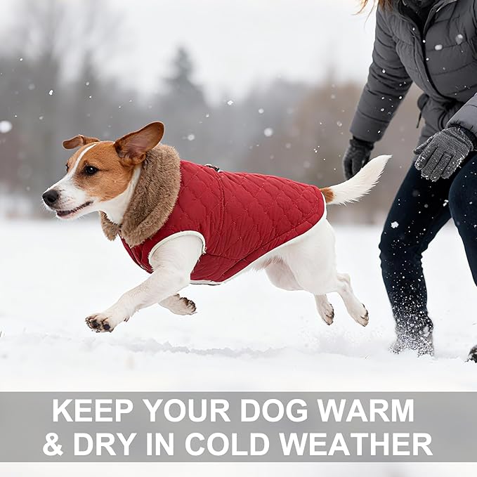 BEAUTYZOO Winter Dog Vest Coat with Harness Built in, Warm Puppy Jacket for Small Medium Dogs, Lightweight Cold Weather Small Dog Coat, Fleece Puffer Vest Windproof Snowproof Pet Clothes, Wine Red S