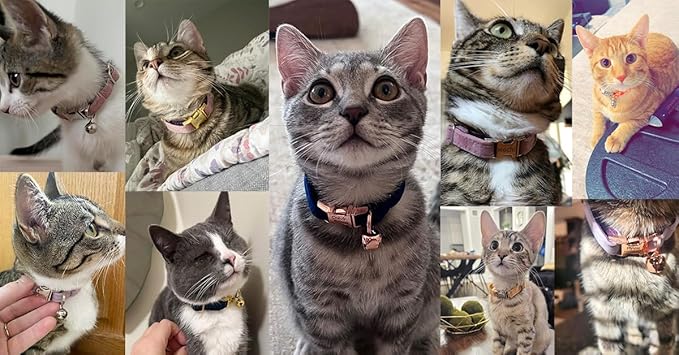Personalized Cat Collar with Bells,Velvet Customized Small Cat Collar with Name Tag,Pet Collar with Name Phone Number Engraved ID Tags for Boy and Girl Kitten Cats (Green Star)