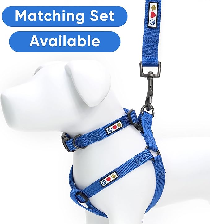 Pawtitas Personalized Dog Leash with Your Pet Name & Phone Number - Custom Engraved Name, 6 ft Long, Blue, Small Puppy Leash
