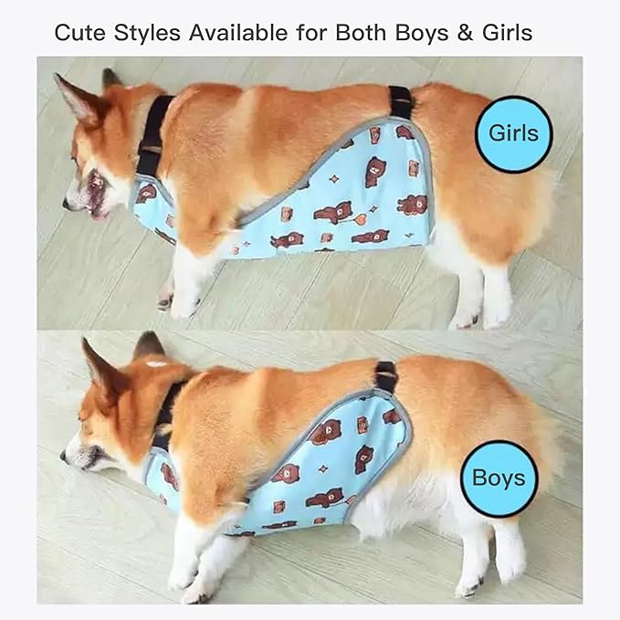 Waterproof Belly Shield for Corgis & Dachshunds – Adjustable underbelly Protector. Male/Female Designs. Stays Dry in rain, mud & Grass. Ideal for Sensitive Skin (Blue - Female, L)