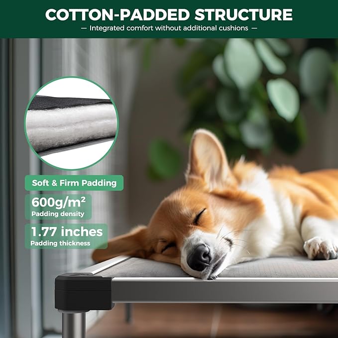 FXW TitanNest Chew-Proof Elevated Dog Bed, Raised Cot for Indoor/Outdoor/Camping Use, Durable & Washable Padded Pet Bed with Exclusive Cover for Small Dogs, 36.0" L x 24.0" W x 4.5" H, Gray