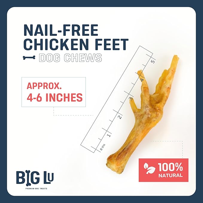 Big Lu – Nail-Free Chicken Feet Dog Chews, 100% Natural Single-Ingredient Treats, Rawhide-Free, Long-Lasting, Rich in Glucosamine and Chondroitin for Joint Health (100 Count)