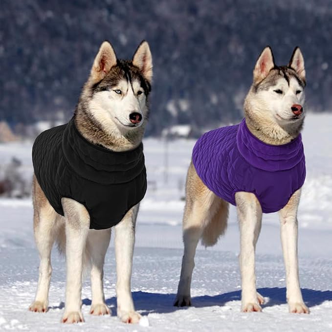 Kuoser XXXL Thermal Dog Suit | Extra Giant Apparel for St. Bernards | D-Ring Safety System Prevents Escape During Storms, Black XXL
