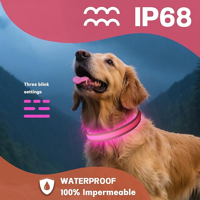 DOGWONG LED Dog Collar - Heavy Duty Light up Collars - Rechargeable Waterproof - Lighted Dog Collar for Night Walking, Hiking, Camping(Pink,M)