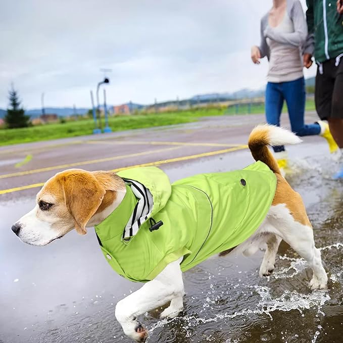 Dog Raincoat Waterproof Raincoats Dog rain Jacket Buttons Zipper Hood Drawstring Suitable for Small Medium Yorkie Terrier Schnauzer Poodle Border Collie Labrador 8lbs to 80lbs Green XXL
