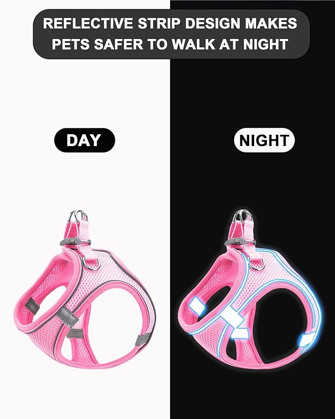 XS Orange Soft Mesh Dog Harness and Leash Set,No Escape Puppy Harnesses for Training Walking， Reflective Adjustable Puppy Vest for Small Medium Dogs, Cats (Orange, XS)
