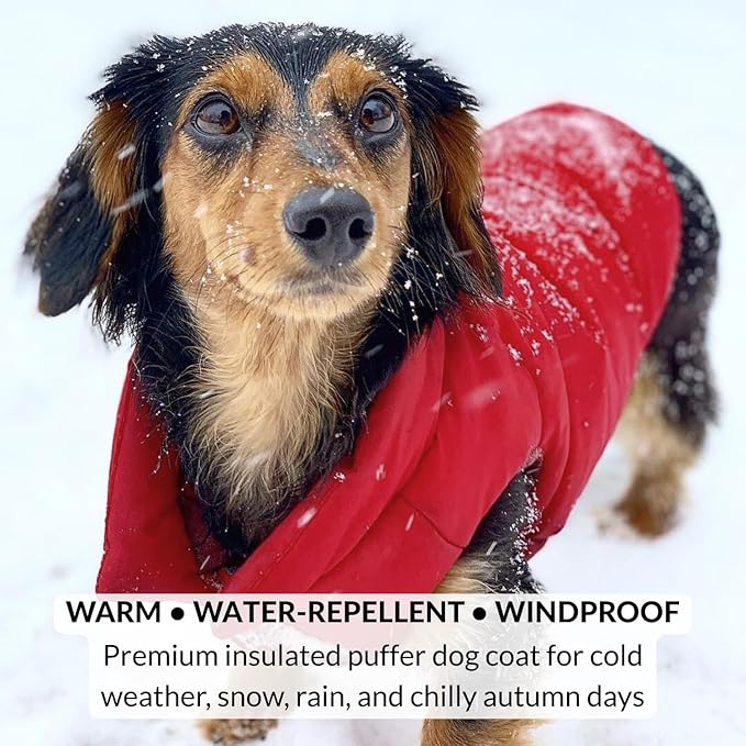 DJANGO Reversible Puffer Dog Coat – Warm Winter Dog Jacket & Water-Repellent Insulated Dog Coat with Harness Hole, Windproof, Adjustable Fit for Small & Medium Dogs, Dachshunds – Lava Red, Medium