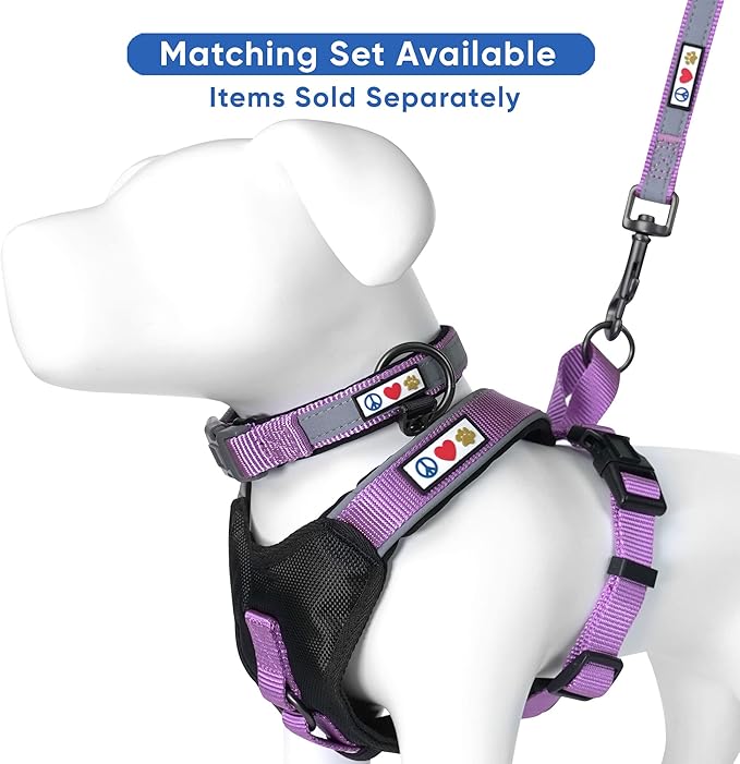 Pawtitas Personalized Dog Leash Embroidered Customize Leash for Your Pet Name & Phone Number, Reflective 6 ft Long Purple Orchid Custom Tag