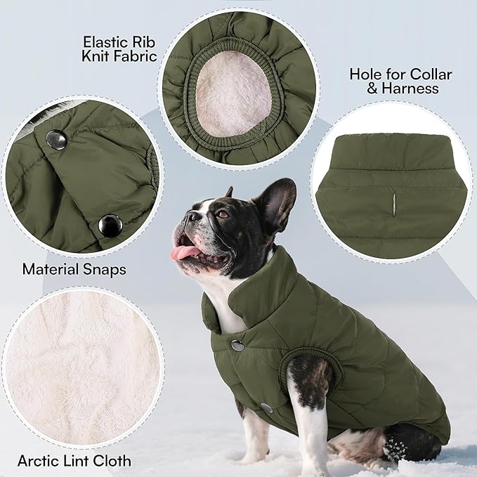 ASENKU Windproof Dog Winter Coat Waterproof Fleece Jacket Cold Weather Pet Apparel for Small Medium Large Dogs (ArmyGreen, 2XL)
