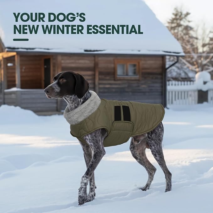 Kuoser Dog Jacket, Warm Dog Coats for Small Dogs, Doggie Winter Jacket Cold Weather Coats with Leash Hole, Winter Coat Apparel for Yorkie Chihuahua, Green XS