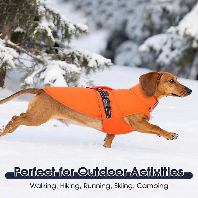 IECOii Dog Winter Coats - Reflective, Adjustable & Windproof Jacket for Cold Weather, Soft Fleece Lined & Quick Release Buckle & Waterproof Snow Vest for Camping, Orange, Size 4XL