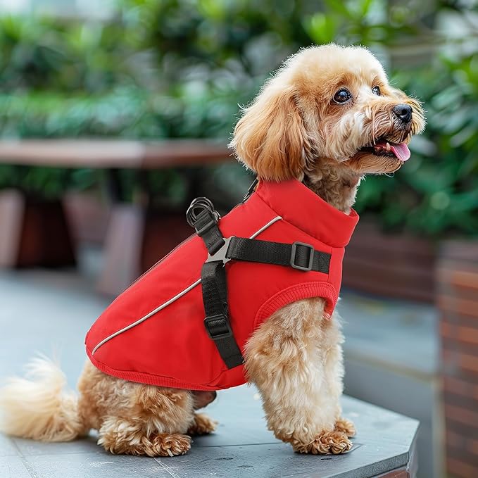 Dog Winter Coat Reflective Water-Resistant Jacket, Fleece Lined Windproof Puppy Coat with Back Zipper & D-Ring, Cold Weather Dog Coats for Small Medium Large Dogs (M, Red)
