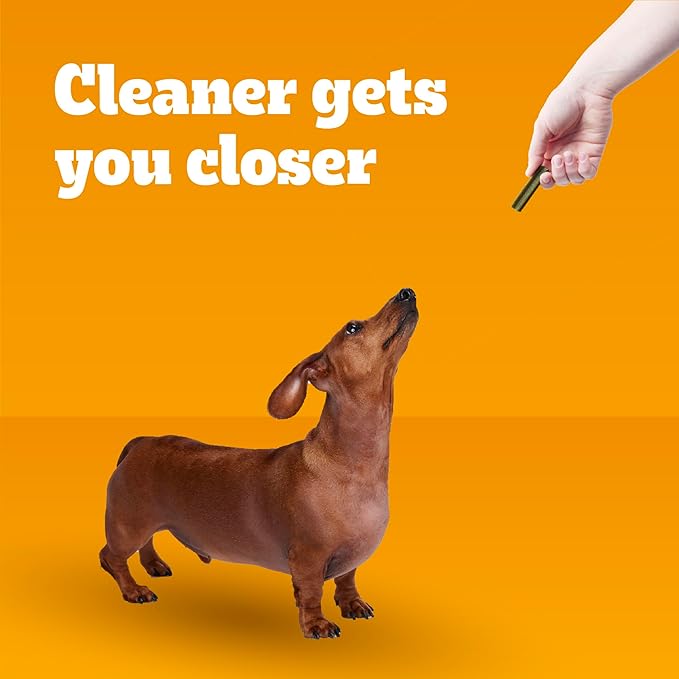 Pedigree Dentastix Small and Toy Breed Dog Treats, Fresh Flavor, (7) 21ct Bags (147 Treats Total)
