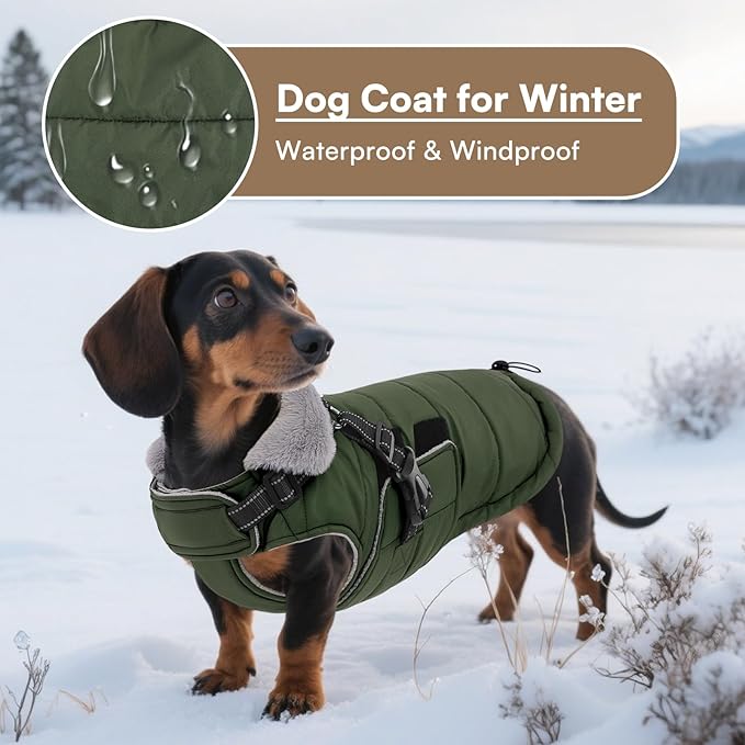 Queenmore Winter Dog Jackets for Large Dogs XXL, Waterproof Winter Coat for Extra Large Pitbull/Great Danes, Warm Puffer Snow Jacket for Cold Weather - Fleece Lining Velcro Closure Reflective, Green