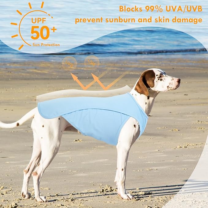 2 Pack Dog T-Shirt Quick Dry, Summer Breathable Cooling Vest, Sun Protection UPF50+ for Sensitive Skin, Stretchy Freedom of Movement for Walk, Blue+Grey, L